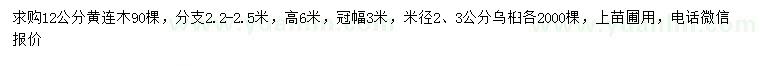 求購12公分黃連木、米徑2、3公分烏桕