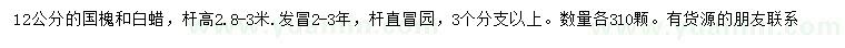 求購(gòu)12公分國(guó)槐、白蠟