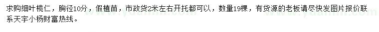 求購(gòu)胸徑10公分細(xì)葉欖仁