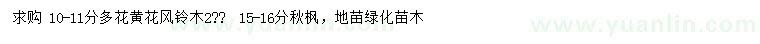 求購10-11公分多花黃花風(fēng)鈴木、15-16公分秋楓
