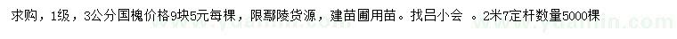 求購(gòu)3公分國(guó)槐