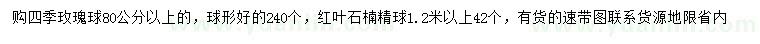 求購80公分以上四季玫瑰球、1.2米以上紅葉石楠球