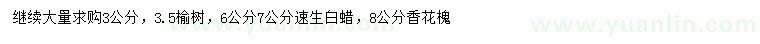 求購(gòu)榆樹(shù)、速生白蠟、香花槐