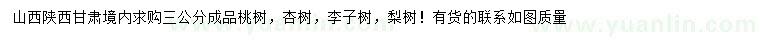 求購桃樹、杏樹、李子樹等