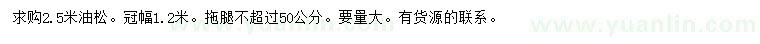 求購2.5米油松