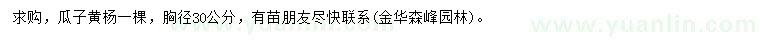 求購(gòu)胸徑30公分瓜子黃楊