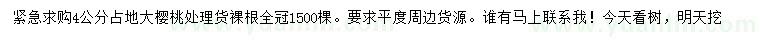 求購4公分大櫻桃樹