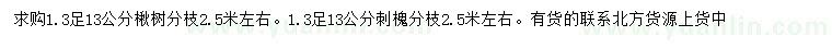 求購13公分楸樹、刺槐