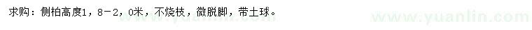求購高1.8-2米側柏