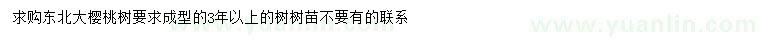 求購東北大櫻桃樹
