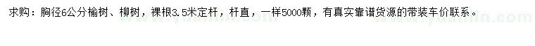 求購胸徑6公分榆樹、柳樹