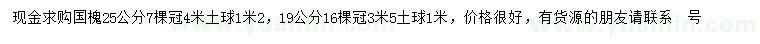 求購19、25公分國(guó)槐