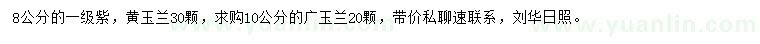 求購8公分黃玉蘭、10公分廣玉蘭