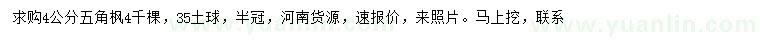 求購4公分五角楓