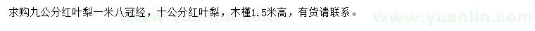 求購9、10公分紅葉梨、高1.5米木槿