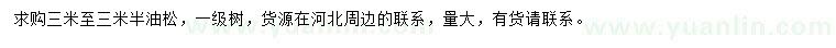 求購3-3.5米油松
