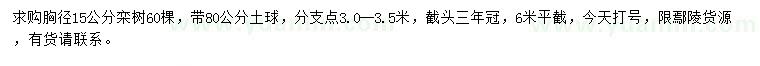 求購胸徑15公分欒樹