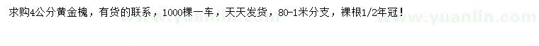 求購(gòu)4公分黃金槐