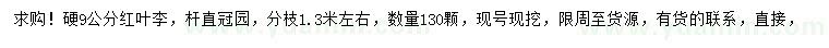 求購9公分紅葉李