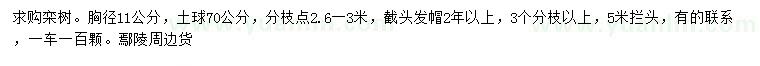 求購胸徑11公分欒樹(shù)