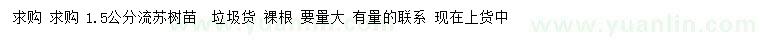 求購1.5公分流蘇