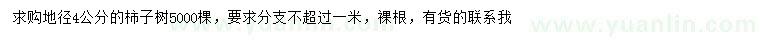 求購地徑4公分柿子樹