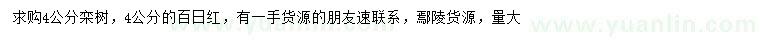 求購(gòu)4公分欒樹(shù)、百日紅
