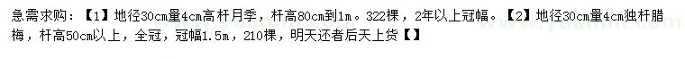 求購地徑30公分量4公分高桿月季、獨桿臘梅