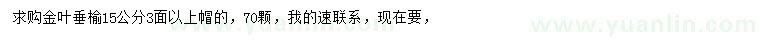 求購15公分金葉垂榆