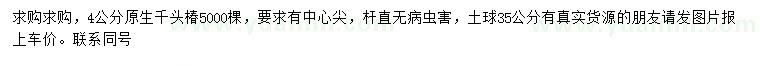 求購(gòu)4公分千頭椿