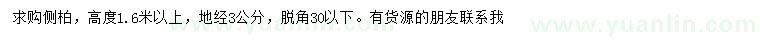 求購(gòu)高1.6米以上側(cè)柏