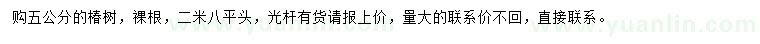 求購5公分椿樹