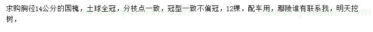 求購胸徑14公分國槐