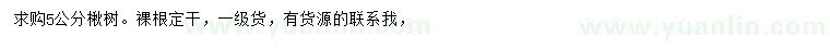 求購5公分楸樹