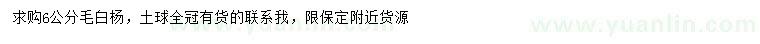 求購6公分毛白楊