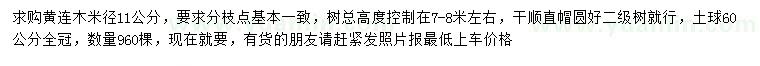 求購米徑11公分黃連木
