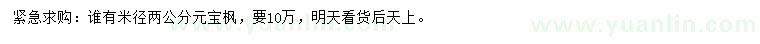 求購米徑2公分元寶楓