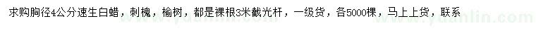 求購胸徑4公分速生白蠟、刺槐、榆樹