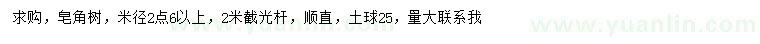 求購米徑2.6公分以上皂角樹
