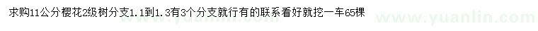 求購(gòu)11公分櫻花