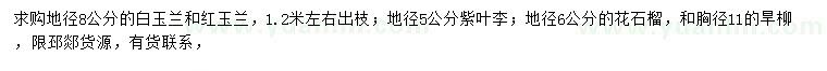 求購白玉蘭、紅玉蘭、紫葉李等