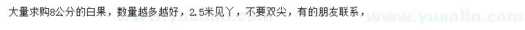 求購(gòu)8公分白果