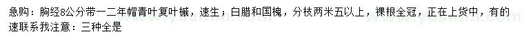 求購青葉復(fù)葉槭、速生白蠟、國槐