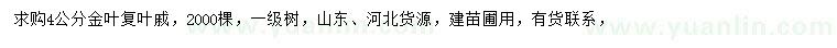 求購(gòu)4公分金葉復(fù)葉槭