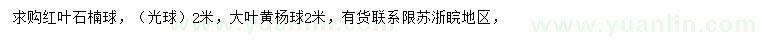 求購2米紅葉石楠球、大葉黃楊球