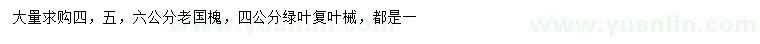 求購(gòu)4/5/6公分老國(guó)槐、4公分綠葉復(fù)葉槭