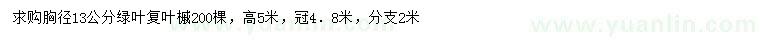 求購胸徑13公分綠葉復(fù)葉槭
