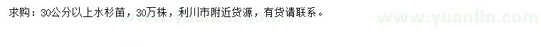 求購30公分以上水杉苗