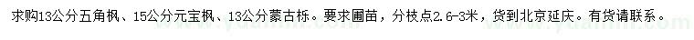求購五角楓、元寶楓、蒙古櫟