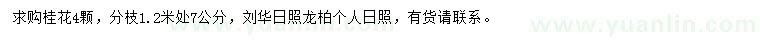 求購(gòu)桂花